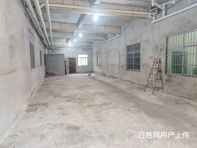 （51旺铺推荐）荔枝沟新中路180平店铺出租 - 图片 10