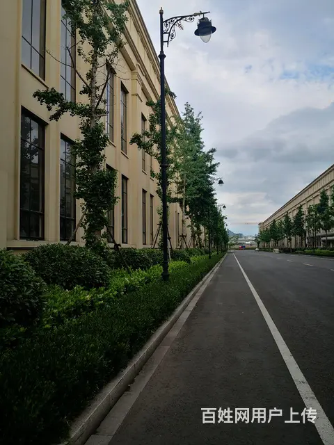 框架结构房屋出租，可商用，可住宅7层皆可！ - 图片 2