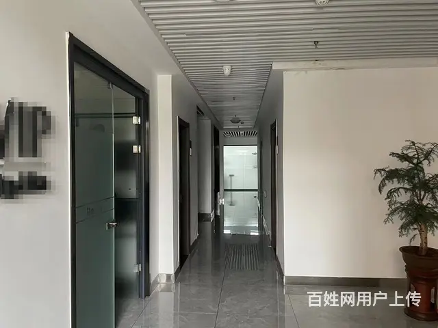 高区世昌大道田村临街旺铺460平出售 - 图片 6