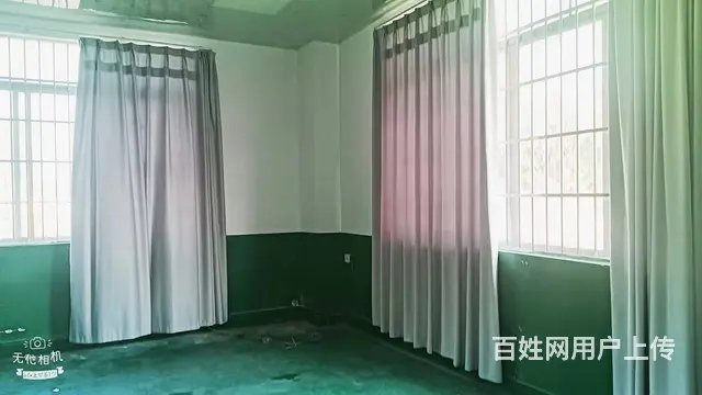 红旗小林独门、独院小型厂房 - 图片 7