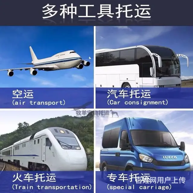宠物托运空运铁路运输猫狗鸽子托运服务 - 图片 3