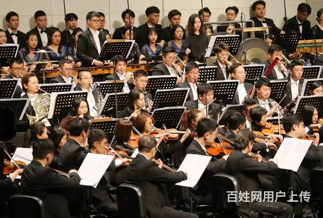 了解琴行国际比赛可浏览全球国际音乐家协会官网 - 图片