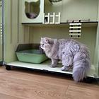 长沙岳麓区猫猫寄养，猫别墅猫爬架齐全，家庭式寄养