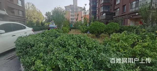 汶源旁边，天霖苑精装好楼层不遮档67 - 图片 9