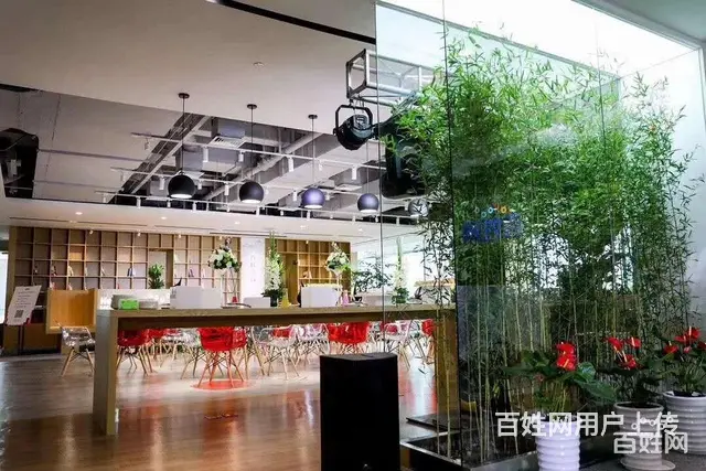 *代理,互联网代理 老牌平台 渠道支持 - 图片 6