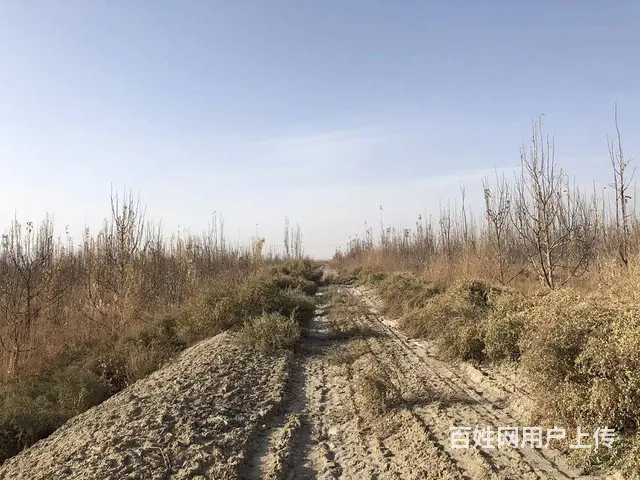 B个人一库尔楚土地对外出售或承包 - 图片 7
