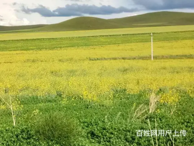 呼伦贝尔呼伦贝尔包车服务为先 - 图片 3