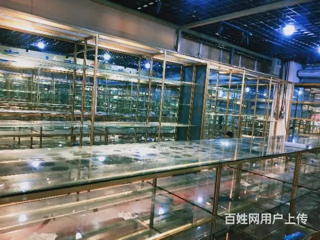 处理货架 - 图片 3
