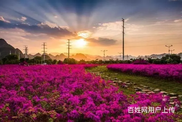 五彩田园景区房房东直租 - 图片 6