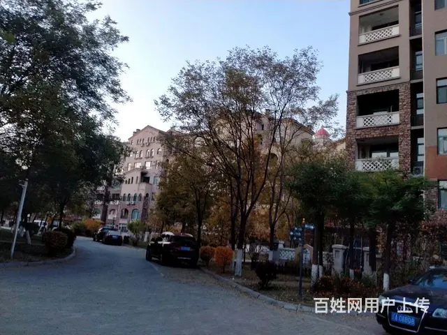 出租出售 - 图片 1