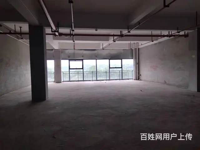 （老板本人）佳海工业园商铺/写字楼房东低价出租 - 图片 8