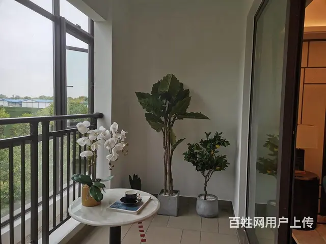 无缝对接大南京特价送车位和家电全椒高铁轻轨口旁 雅居乐御宾府 - 图片 9