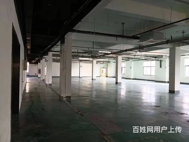 青年电商产业园1630平厂房出租 - 图片