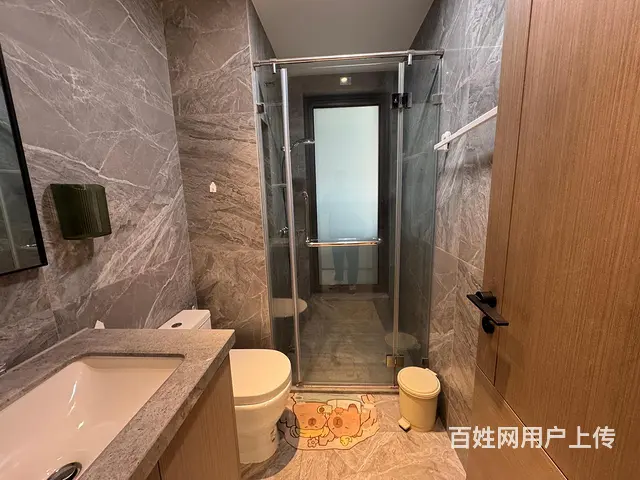九莲正规102.00源急租 - 图片 7