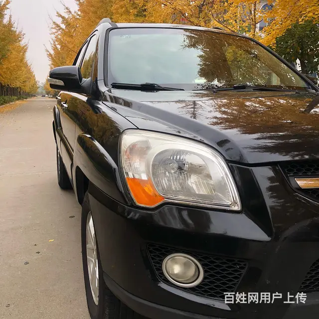【搞定了！】起亚 狮跑 2009款 2.0 手动 GLS 两 - 图片 11