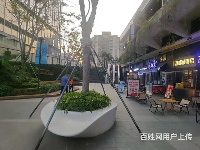 （51旺铺推荐）龙湖天街一楼底商(幸运大咖)80平转让 - 图片 6