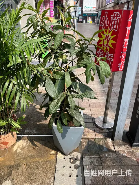 服装店不用的东西 - 图片 4