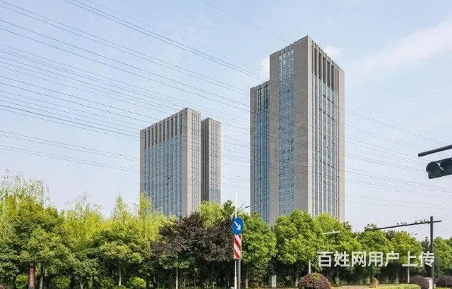 滨江地铁口 高性价比楼盘 200方精装特价出租 孵化器高补贴 - 图片 9