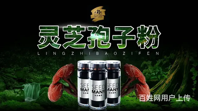补品至尊，仙芝美帝-沈阳灵芝孢子粉 - 图片 4