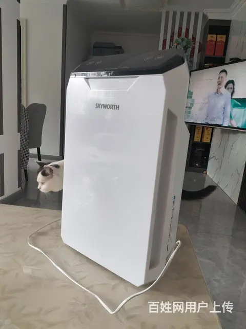 品牌空气净化器 - 图片 2