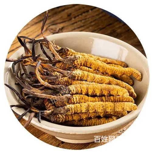泉港冬虫夏草回收近期价格表 - 图片 1