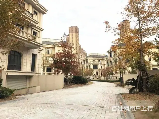 梦世界双拼别墅【带花园100平 带地下室100平】地铁0距离 - 图片 8