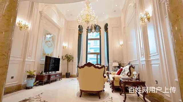 群力盛和天下别墅双拼700米 豪华装修 300米院子双车库 - 图片 1