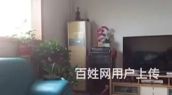 黄4渤9路口西北角 （安达驾校宿舍）普通住宅2厅 中等装修 - 图片 4
