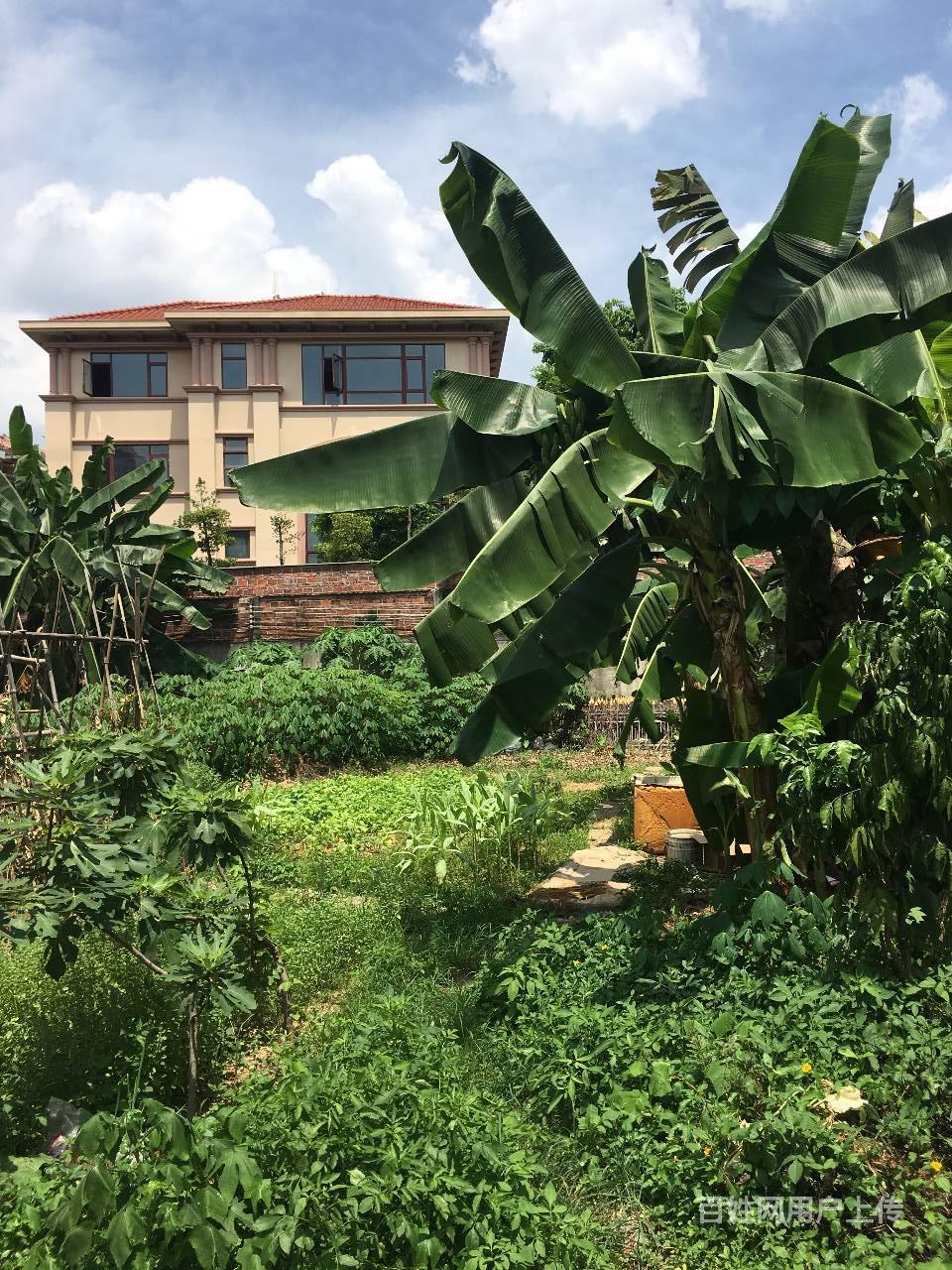 温塘太湖山庄毛坯别墅出售