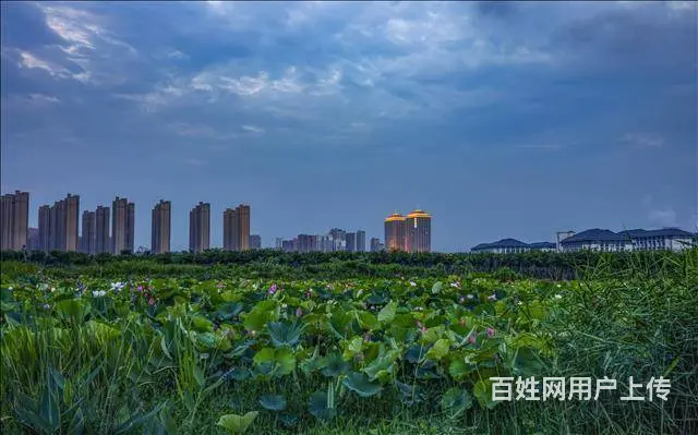 常州新品发布会那些五星级酒店适合 - 图片 3