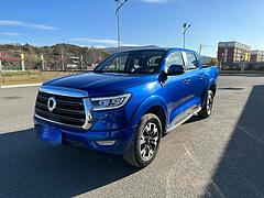 长城 炮 2019款 2.0T 自动 四驱舒适版小双
