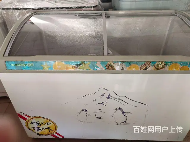 【搞定了！】一米二长全冷冻冰柜出售 - 图片