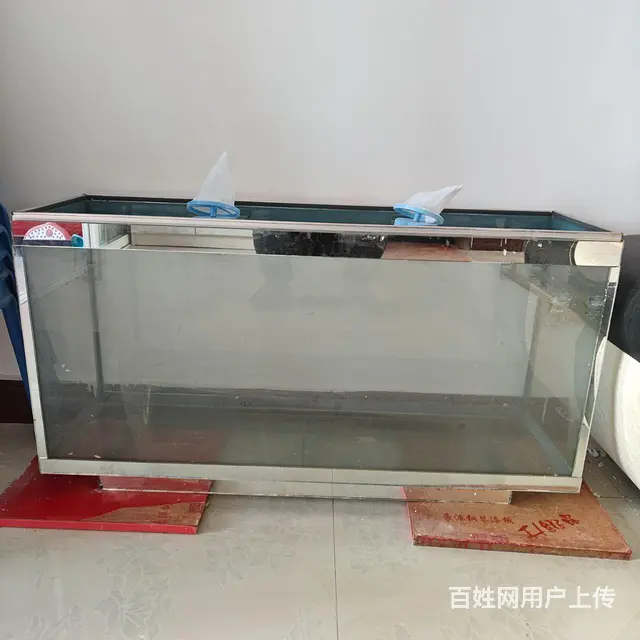 鱼缸 - 图片 1