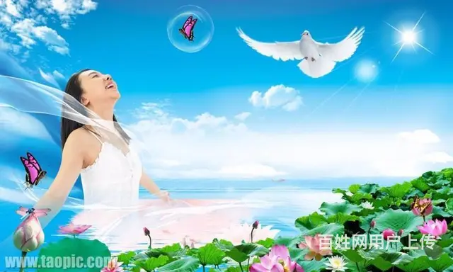 嘉善热水器(维修电话热水器24小时服务热线 - 图片
