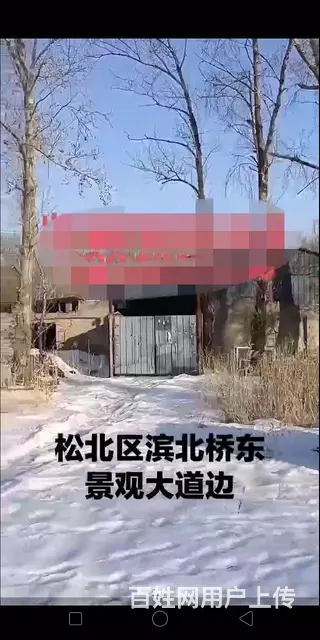 松北区滨北桥东景观大道厂房库房出租出售 - 图片 4