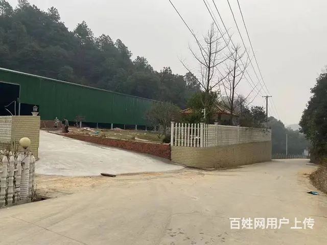 （房东直租）岳麓区金星北路1700平米钢架厂房优价出租 - 图片 4