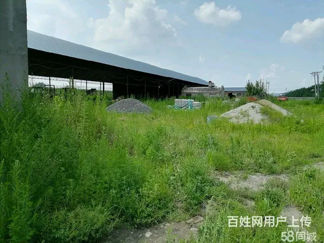 阿城蜚克图镇厂房出售 - 图片 6
