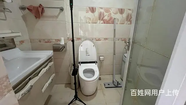十九！中内 桥西高端小区 图书馆盛世公馆 电梯小高7精装 - 图片 3