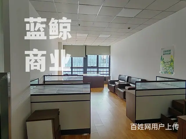 绿地商务城蓝海1450平整层纯办公现房写字楼出售 - 图片 8