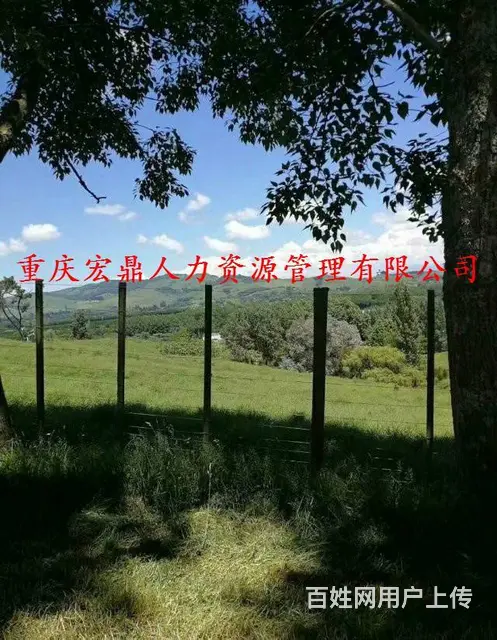 欧洲出国两年一签，急招（建筑工、厨师、司机） - 图片 2
