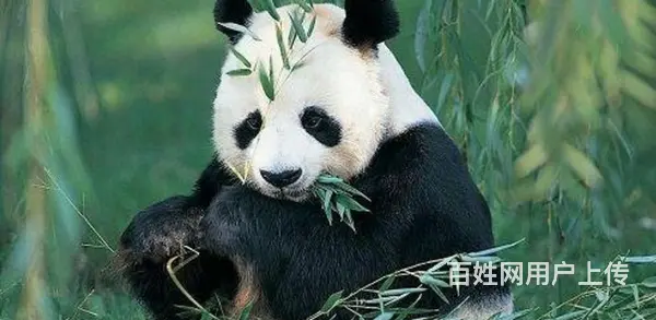 安吉恒都.香缇溪岸，卧虎藏龙取景地，总价180万起 - 图片 6