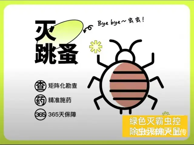 专业四害消杀除蟑螂除蚂蚁除老鼠除百虫 根除干净 - 图片 10