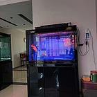 鱼缸