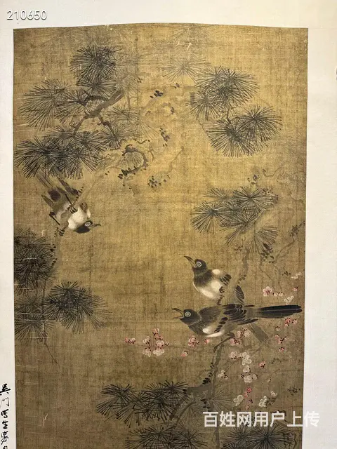 周之冕《松寿图》绢本立軸，画心尺寸66.5/154 - 图片 3