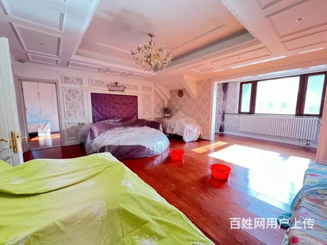 汇锦庄园 双拼别墅 使用800米1175W 大花园车库 - 图片 6