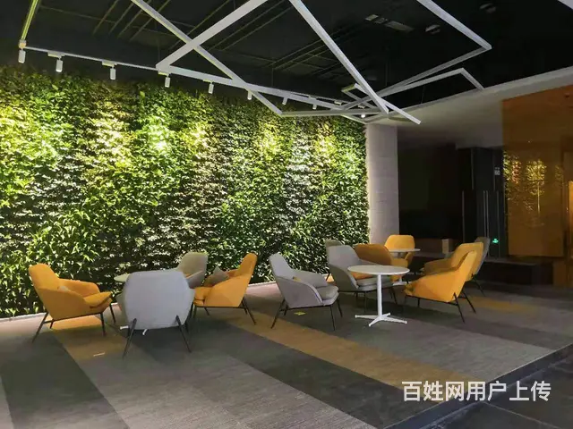 浑南丨软件园丨580平丨花园办公纯写丨沈本大道丨可租可售 - 图片 9