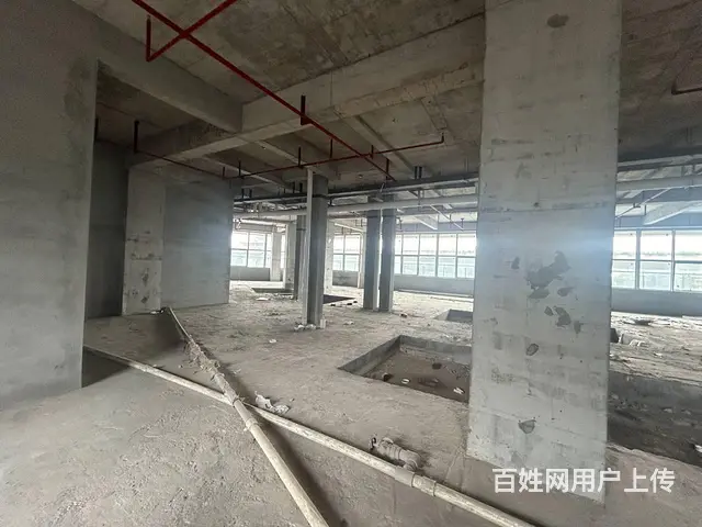 （老板本人）湘域国际广场临街商业综合体招租6842 - 图片 5
