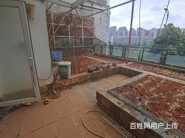 路馨小区 金路苑5房 精装修别墅 出售 带花园 屋 - 图片 8