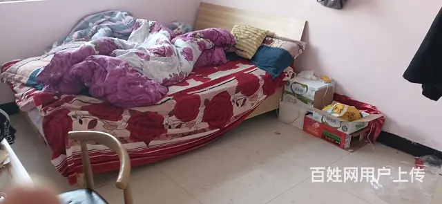 123456789 - 图片 1