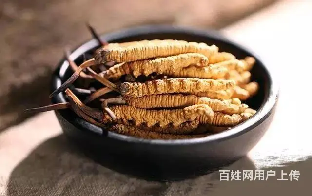 太原市区回收冬虫夏草价格一览一览表上门回收虫草 - 图片 1